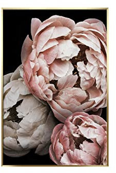 STYLER Gerahmtes Bild Peony 50 x 70 cm I Artbox goldener Rahmen gold Hochformat Wandbild Rose Pfingstrose Blüten Blume Blumen Wohnzimmer Schlafzimmer Büro Wanddeko Home Deko | modern elegant groß