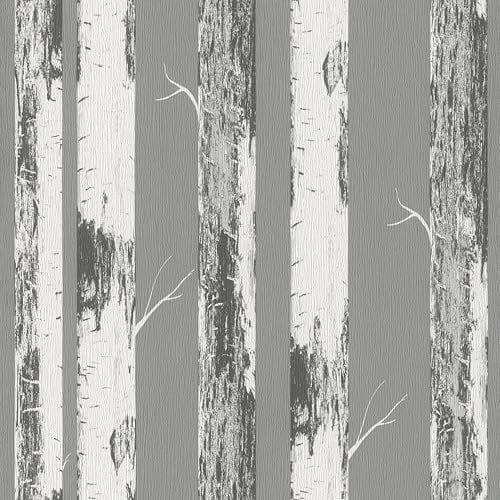 Rasch home style Tapete 285420 - Graue Papiertapete mit Birkenstämmen, Birkenwald - 10,05m x 0,53m