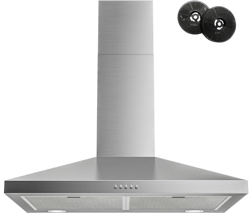 FIREGAS Wall Mount Range Hood 30 Inch,450 CFM,Stainless Steel