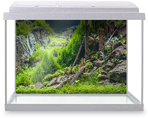 DV DESIGN Aquarium Fish Tank Background 62x42 cm - Forest Nature Style Tank Variety Aquatic Plants Moss Aquatic Image Static Cling Vinyl Vivarium Terrarium External Application #500004