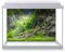 DV DESIGN Aquarium Fish Tank Background 62x42 cm - Forest Nature Style Tank Variety Aquatic Plants Moss Aquatic Image Static Cling Vinyl Vivarium Terrarium External Application #500004