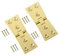 TERF® Heavy Duty Polished Brass Counter Flap Hinges 100mm X 32mm (4'' X 1 1/4'') Counterflap Hinge use for Pub Bar Shop Counter Flap Hatch Open Up Fittings including Fixing Screw - Pack of 2