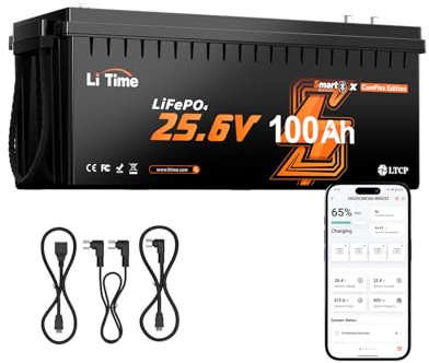 LiTime Batteria Litio 24V 100Ah LiFePO4 CAN/RS485 per Accumulo Fotovoltaico | Bluetooth, BMS 100A, Max 15000 Cicli, Energia 2560Wh, IP65, Protezione Basse Temperature, Max 4P4S, per Camper, Yacht, Barche