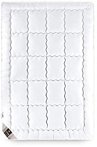 sei Design Winter Bettdecke 135x200 gesteppt SWAN de Luxe Winterdecke Alternative zu Daunen, Steppdecke 100% Baumwollbezug leichte Premium Decke mit hoher Wärmehaltung