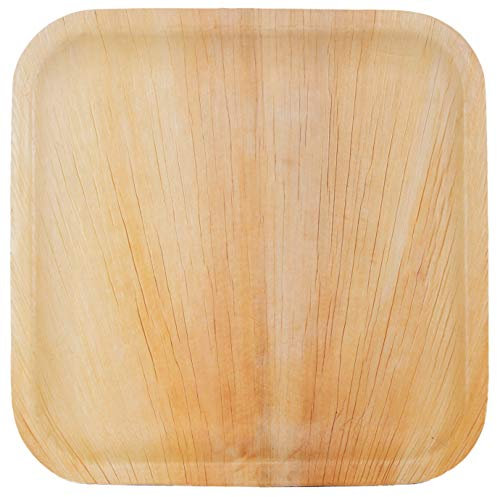 Palm Dishes Palmblattteller 25 Stück Einwegteller eckig 25x25 cm, aus Palmblatt 100% kompostierbar, umweltfreundlich Palmblattgeschirr Set für BBQ, Party, Grillen Outdoor