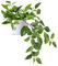 SOGUYI Pianta Finta Cadente 38cm Piante Finte da Interno Esterno con Vaso Plastica Pianta Artificiale per Decorazioni Balconi Casa Ufficio Scrivania Cucina Moderna Design(1 Pezzi)