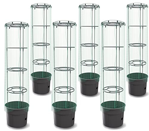 6x Tomatenpflanze mit Deckel und Folie Pflanzkübel 28 L, Tomatenzüchter, Tomatentopf, Übertopf, Gemüsen, Tomaten WaschendeTomatenpflanze Deckel Folie, Pflanzkübel 12 L Tomatenzüchter Tomatentopf, Über