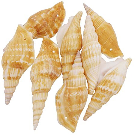 Julie Wang 16pcs coquilles percées naturelles pour bijoux et décoration, taille 60-80mm, trou de forage 1.5mm, collection Été, charmes de coquillage
