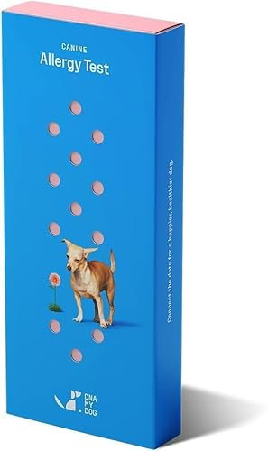 DNA My Dog – Test d'allergie canine | Analyse de plus de 120 allergènes | Pas un test de fourrure, un écouvillon de joue | Articles alimentaires, environnementaux et ménagers | Résultats en 3 semaines