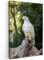 MuchoWow© Leinwand Bilder 60x90 cm Wanddeko Wohnzimmer Aesthetic Room Decor Deko Zimmer Wandbilder Modern Bild auf Leinwand Adler - Holz - Weiß - Pflanzen
