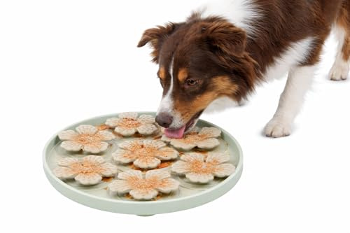 hundenapf - katzennapf - leckmatte Hund - Fleur rund - hellgrün - Ø20 cm - silikon - mit saugnäpfen - für nassfutter und Snacks