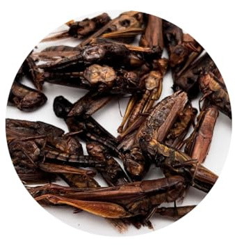 Warnick's Naturhäppchen Grashüpfer & Heuschrecken getrocknet - 1 Liter | Futterinsekten für Koi, Reptilien & Vögel - Naturbelassen & proteinreich - Wertvolle Nahrungsergänzung
