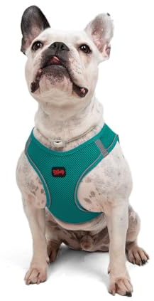 Air-Mesh Brustgeschirr für kleine und mittelgroße Katzen und Hunde – Weich, Atmungsaktiv, Strapazierfähig (Dunkelgrün, L (Brustumfang 59–63,5 cm))