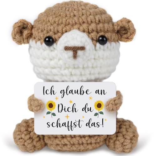 Positive Pocket Hug Otter, Einschulung Geschenk, Mutmacher Geschenke | Glücksbringer Prüfung, Gute Besserung Geschenk, Motivationsgeschenke Frauen Freundin Schwester