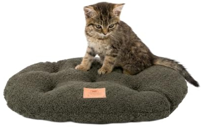 Ferplast Dog Bed Cushion for Small Dogs, Cat Bed, Washable Synthetic Bouclé Fabric, Soft Padding, 43 x 30 x h 3 cm. Green