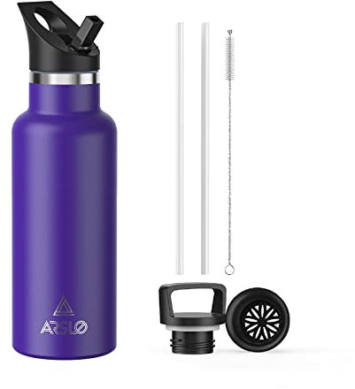 Arslo Stainless Steel Double Wall Water Bottle, Vacuum Insulated Bottle With Straw Lid, Insulated Water Bottle Keeps Water Cold for 24 Hours, Hiking, Sports, Outdoor, 17 oz, Purple