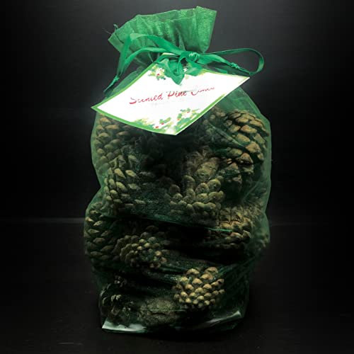 The Milford Collection Scented Pine Cones Green Organza Bag - Winter Spice 500g
