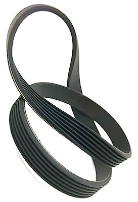 Pangocho-Cinghia di Trasmissione 8PJ282 4PJ282 3PJ282 7PJ282 10PJ282 12PJ282 7PJ282 Cinghia della Ruota motrice Cinghie di Trasmissione in Gomma (Size : 8ribs)