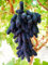 Rizomi D'Uva，Facili Da Coltivare, Viti,Tralci, Frutti, Piante Quattro Stagioni, Piante Da Giardino, Viti Naturali, Piante Senza Semi, Erbe Perenni, Facili Da Coltivare-2bulbi-G
