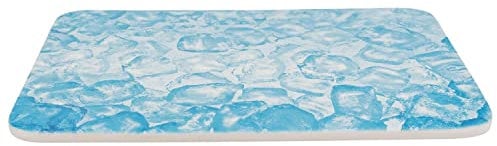Trixie Cooling Plate for Small Animals, 28 x 20 cm, Blue, 0.76 kg