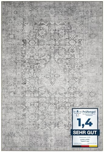 -LUXOR- living Lago | Waschbarer In- und Outdoor Teppich | Modernes Design, Pflegeleicht, Flexibel Einsetzbar, Haustierfreundlich | 160 x 230 cm Grau-Anthrazit