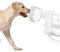 Máscara de nebulizador canino e inhalador para gatos y perros pequeños, máscara de oxígeno para mascotas