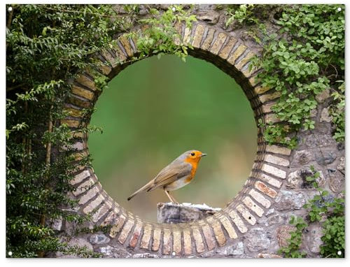 MuchoWow© Gartenposter Groß 160x120 cm XXL Outdoor Bilder Gartendeko für draußen Wetterfest Garten Deko Modern Geschenke Banner Draußen Bild Vogel - Fensterblick - Rotkehlchen