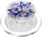 Schmetterling lila Schmetterlinge Natur blauer PopSockets PopGrip für MagSafe