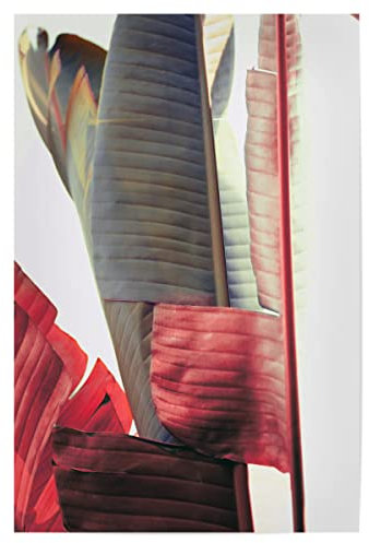 artboxONE Poster 90x60 cm Pflanzen & Blätter Natur Urban Jungle Contrast - Bild Palme blätter Jungle