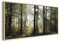 murando - Wandbilder XXL mit Rahmen Wald 140x70 cm Wandbilder groß Leinwandbild XXL natürlicher Holzrahmen modern Wanddekoration Kunstdruck Wanddeko Wohnzimmer Schlafzimmer c-B-0262-b-a