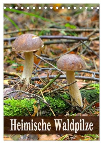 Heimische Waldpilze (Tischkalender 2026 DIN A5 hoch), CALVENDO Monatskalender: Bekannte und beliebte Pilze der heimischen Wälder (CALVENDO Natur)