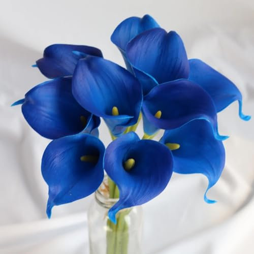 Calla Lily Bulbs-Potted/Bedding/Gorgeous/Plants/Rhizome/Ornamental/Resistant-D-2 Bulbs