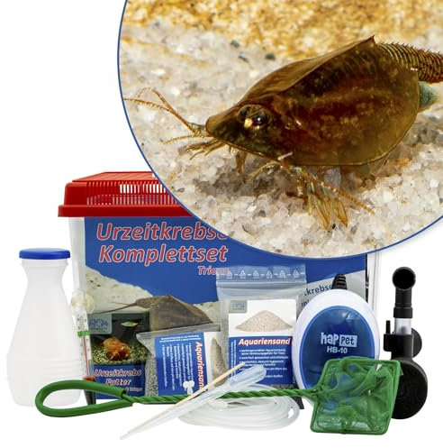 AQ4Aquaristik Triops cancriformis 6 Liter Komplettset mit Urzeitkrebseiern: Aquarium, Zuchtansatz, Filter, Luftpumpe, Zubehör, Futter und Anleitung
