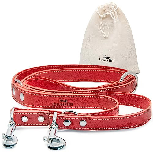 FREUDENTIER Hundeleine Leder in Spicy Red, verstellbare Führleine, robust & stilvoll, Amstelpark Kollektion - Made in Holland (Rot, 25mm Breite)