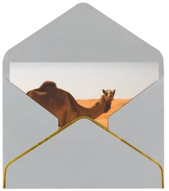 Grußkarten, Motiv: Wüstensand, Kamel, blanko, mit Umschlägen, für Geschäftseinladungen, Geburtstag, Hochzeiten, 16 x 11,5 cm