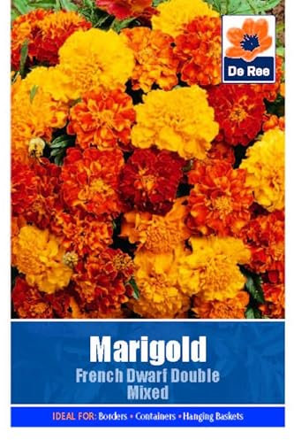 Marigold French Dwarf Double Mixed - 70 Seeds Flower Plant Bedding Borders Containers Pots Grow Your Own Garden Plant Seed
