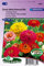 Zinnia élégant à fleurs doubles Dahlia flowered Mix - Graines De Fleurs Annuelles