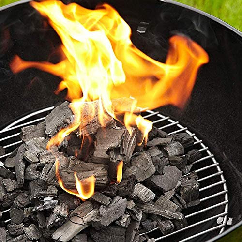 Carbone Biologico Vegetale Ideale per Barbecue Lotus Grill Legna di Leccio Pura Made in Italy | Selezionato a Mano (5 kg)