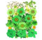 YoothBro 13 Sorten 37 Stück Grüne Getrocknete Gepresste Blumen für Harzformen, Echte Natürliche Gepresste Blumen für DIY Kunsthandwerk, Kerzenherstellung, Nageldekoration