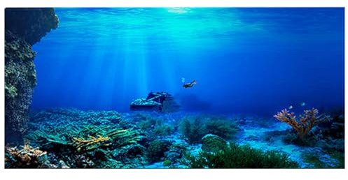 mvrople Fish Tank Decorations Background Sticker PVC Aquarium Background Adhesive Poster For Underwater World Cling Decals Pictures Wallpaper Backdrop Decoration Paper (122X46)