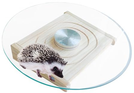 Meerschweinchen -Trainingsrad - Holzlaufscheibe, Glasfitnessspinner | Stille Rotationslager Merkmal, langlebiges Produkt für kleines Tier, glatte Bewegungsaktivitätstool für Hamsters Kaninchen Hedgeho