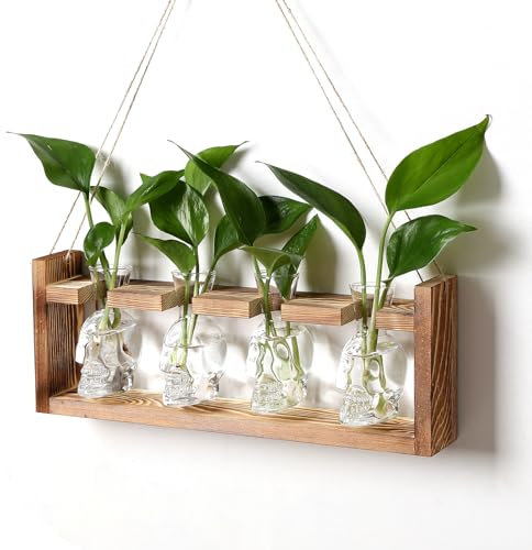 Pflanzen-Anzuchtstationen Halloween Schädel Pflanze Terrarium Kit Glasvasen Geschenk für Vater Luftpflanzer