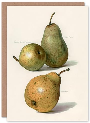 Artery8 John Wright Art Card Vintage Illustration of Pear Varieties