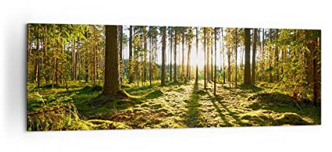 Panorama Bilder auf Leinwand 160x50cm Leinwandbild Wald Baum Natur Groß XXL Wanddeko Bild Schlafzimmer Küche Wandbilder Dekoration Wohnzimmer Wall Decor Canvas Wand Kunstdruck Art AB160x50-3724