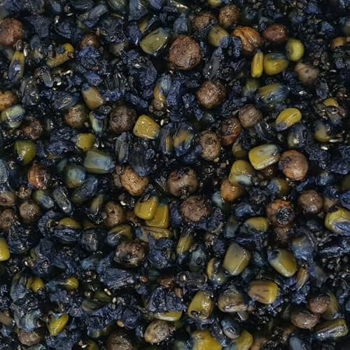 SBS Baits 5kg Black One Partikelmix - Eingelegter Mais, Tigernüsse und Hanf in SBS Black One Juice Futter Karpfen Köder Angeln