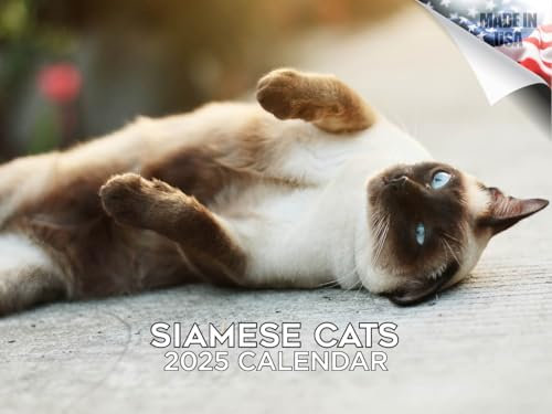 Kalender 2024 2025 Siamkatzen – niedlicher Monats-Wandkalender mit Tiermotiven – 30,5 x 45,7 cm offen – dickes Papier ohne Auslaufen – Geschenk – akademischer Lehrerplaner Kalender Organisieren und