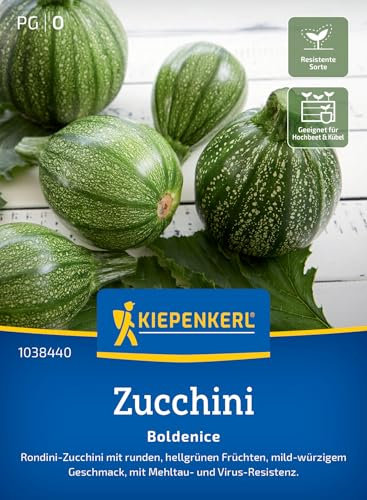 Kiepenkerl Zucchinisamen Boldenice 1038440 für 6 Pflanzen - Hellgrüne, Runde Früchte, Robust Gegen Krankheiten, Vielseitig Einsetzbar, Zart im Geschmack, Zucchinipflanze