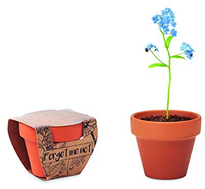3er Pflanz Set Anzucht-Set für Blumen Sonnenblumen Vergissmeinnicht Mohnblume im Terrakotta Töpfchen mit Anbausubstrat (Vergissmeinnicht (Blau))