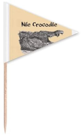 Palillo de dientes de cocodrilo grande africano con bandera triangular para cupcakes