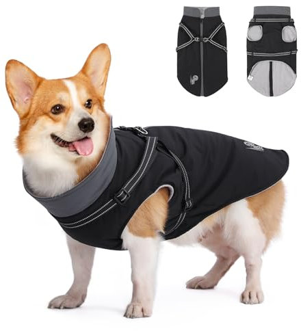 HAPPY HACHI Hundemantel Winter, Hundemantel Wasserdicht mit Geschirr, Reflektierender Streifen Design Haltbarer Doppelter D-Ring Hundjacke für Kleine Mittlere und Große Hunde (2XL)